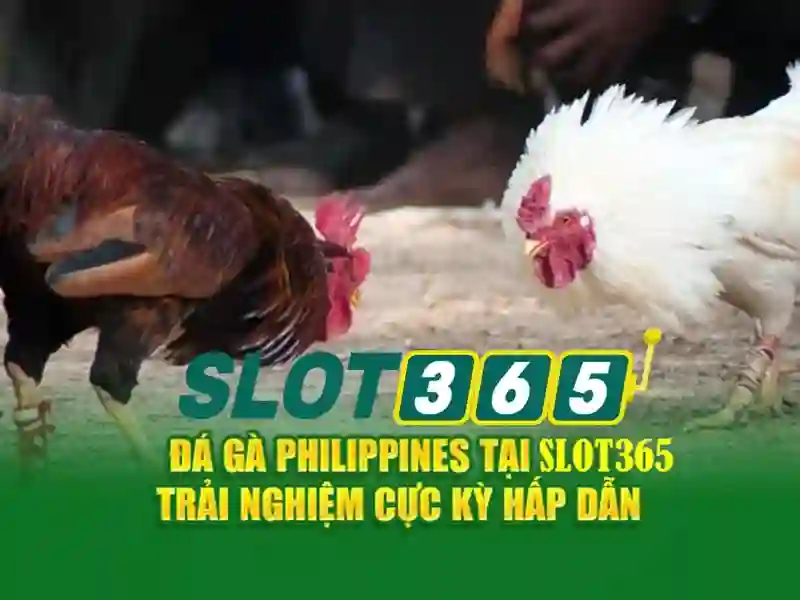 Đăng Nhập