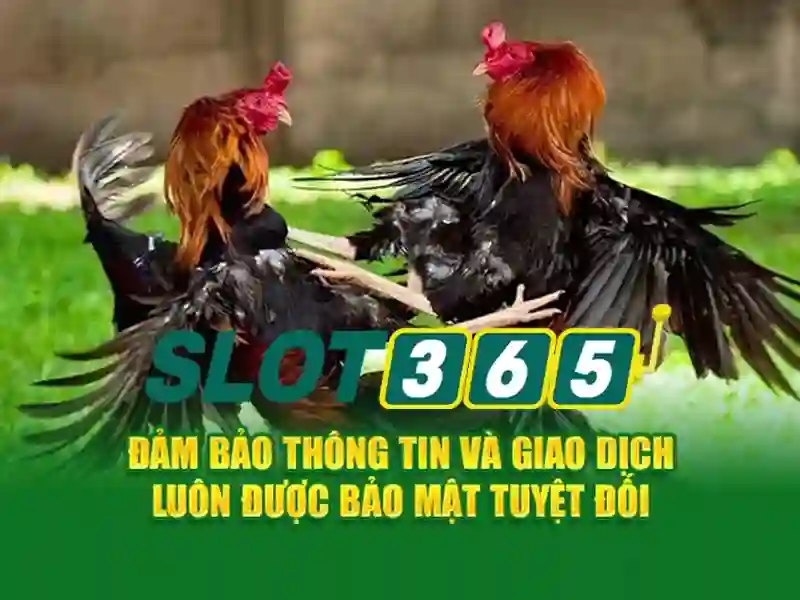 Khuyến mãi và thanh toán an toàn Khuyến mãi và thanh toán an toàn