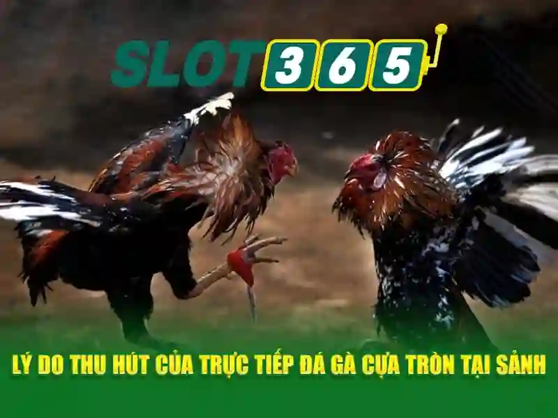 Đăng Nhập