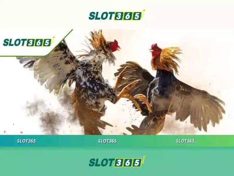 Slot365 – Nền tảng slot trực tuyến hàng đầu