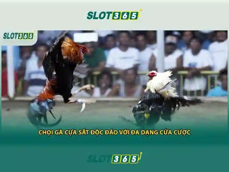 Slot365 là gì và tại sao nổi bật trong ngành giải trí trực tuyến Slot365 là gì và tại sao nổi bật trong ngành giải trí trực tuyến