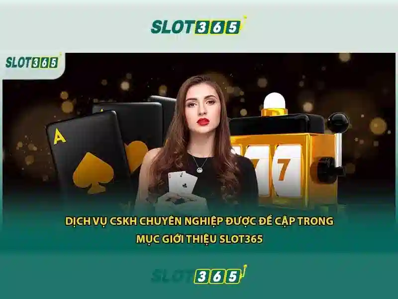 Slot365 là gì? Slot365 là gì?