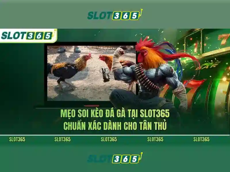 An toàn và công bằng cho mọi người An toàn và công bằng cho mọi người