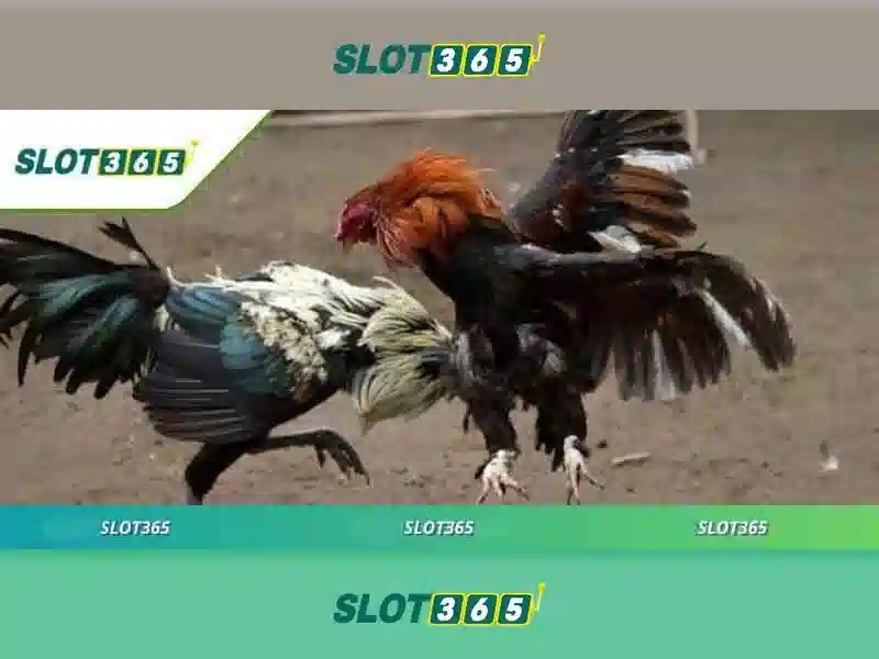 An toàn và công nghệ phía sau Slot365 An toàn và công nghệ phía sau Slot365