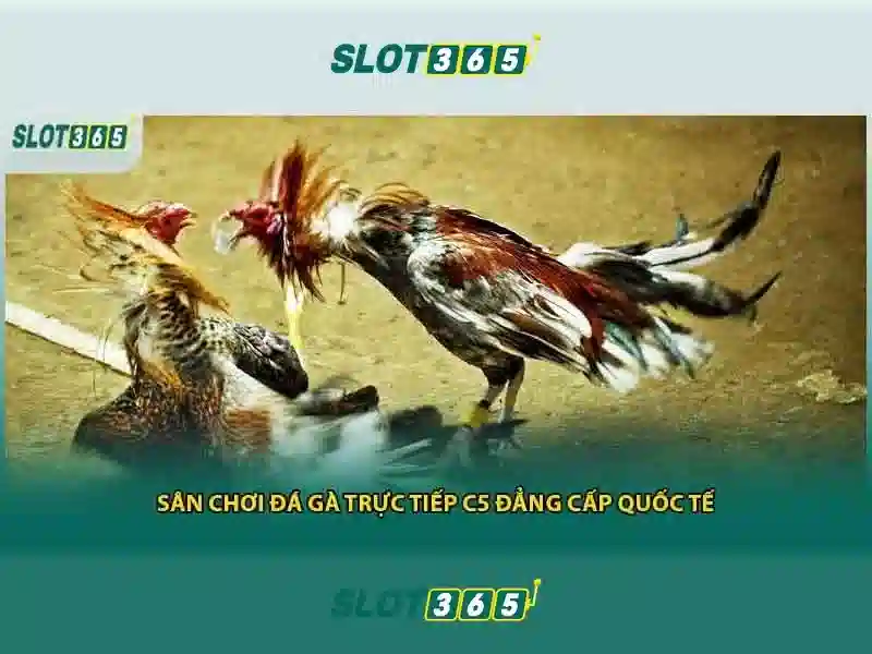 Tiện ích và trò chơi có sẵn