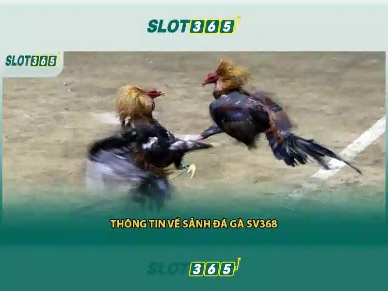 Slot365: Trải nghiệm trò chơi xèng trực tuyến tuyệt vời 1 Đăng Nhập