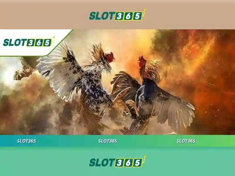 Hướng dẫn tham gia Slot365 Hướng dẫn tham gia Slot365