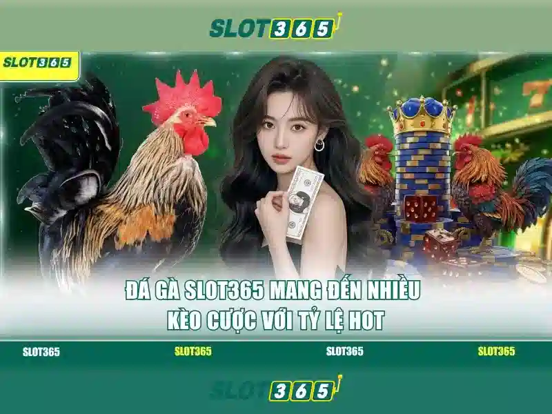 Slot365 - Đánh giá tổng quan và hướng dẫn chơi 1 Đăng Nhập