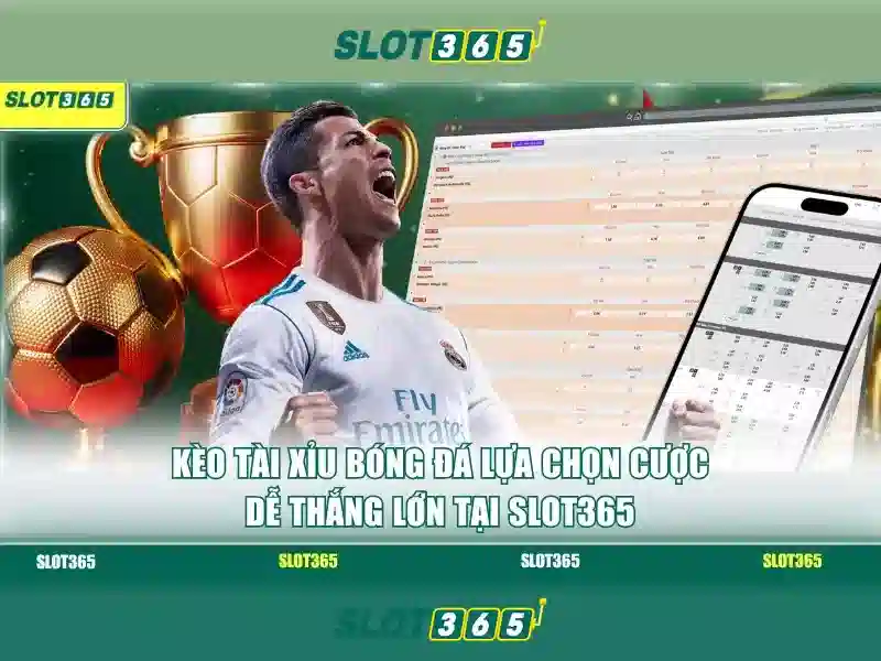 Chính sách thưởng và rút tiền Chính sách thưởng và rút tiền