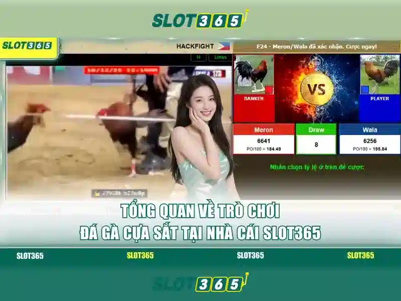 Slot365: Tổng quan và hướng dẫn chơi slot trực tuyến 1 Đăng Nhập