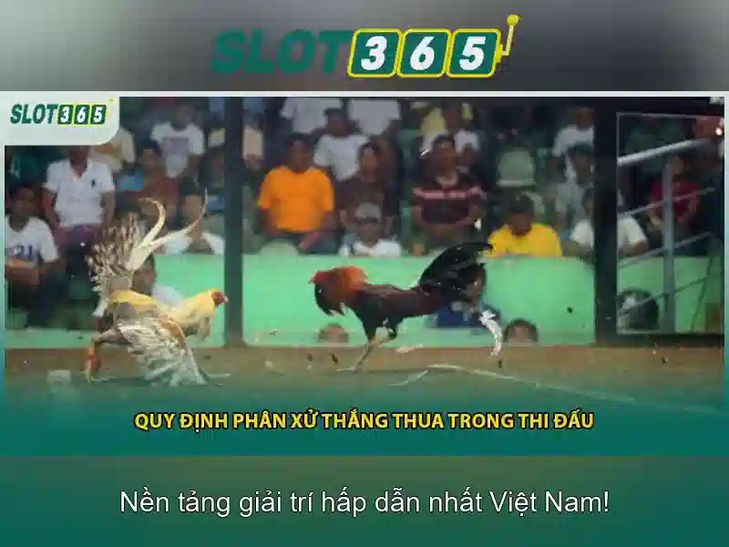 Khuyến mãi và đăng ký dễ dàng Khuyến mãi và đăng ký dễ dàng