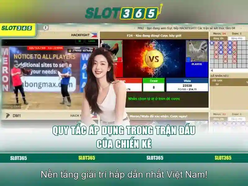 Hỗ trợ người chơi và bảo mật