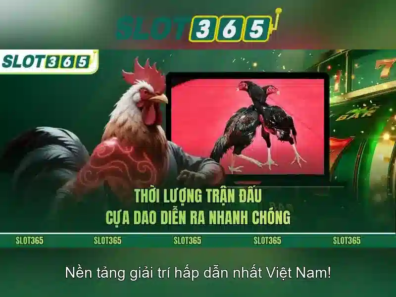 Slot365 là nền tảng slot trực tuyến hàng đầu tại Việt Nam