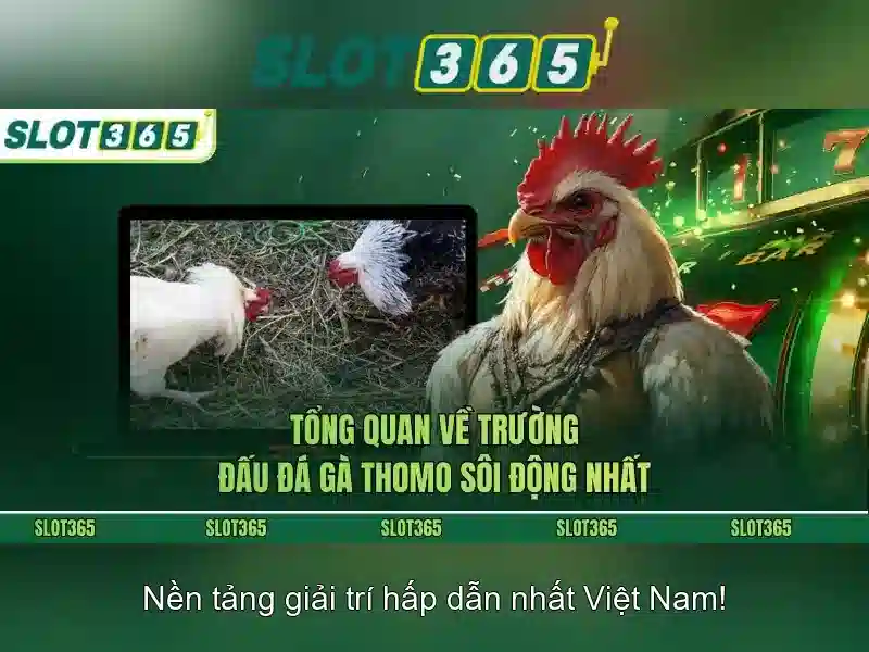 An toàn và thanh toán An toàn và thanh toán
