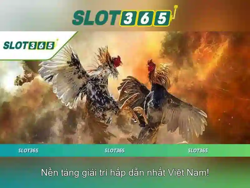 Slot365 và trải nghiệm chơi slot trực tuyến Soi kèo hiệp 1