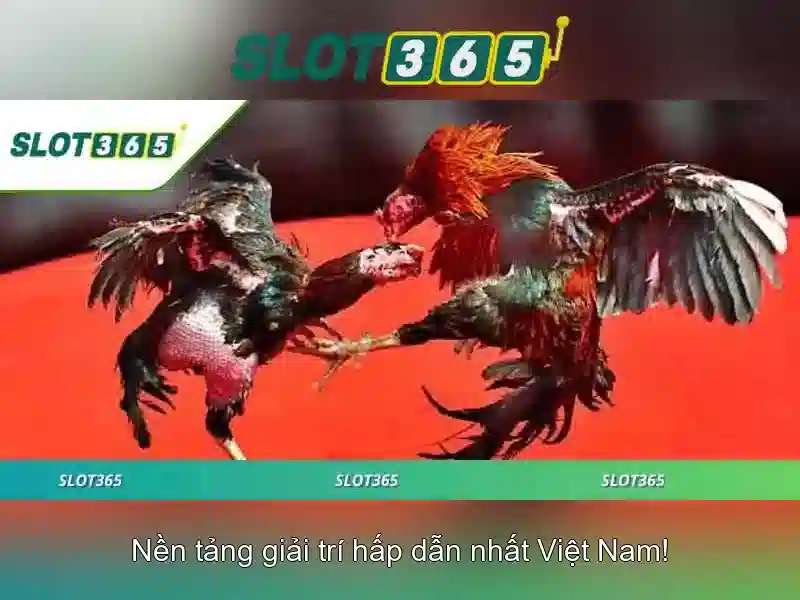 Slot365: Nền tảng đánh bạc trực tuyến đáng tin cậy 1 Đăng Nhập