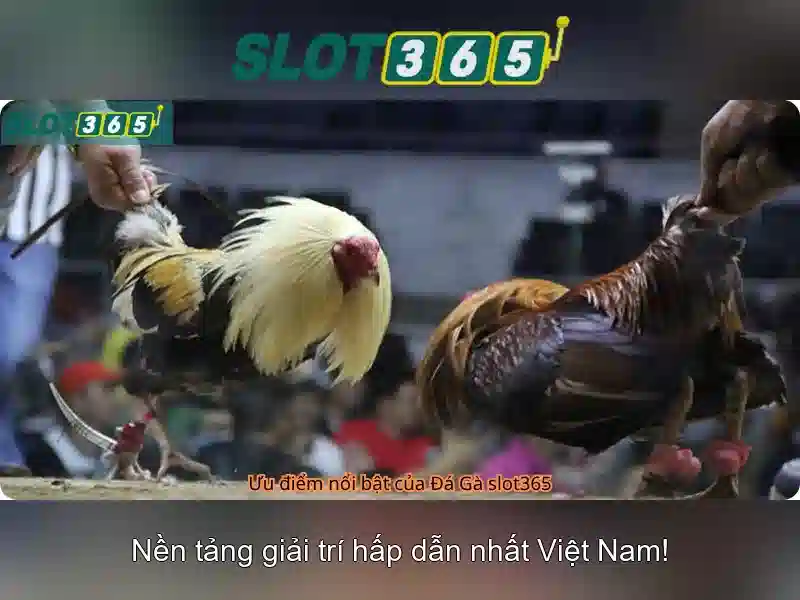 Slot365 và thế giới của trò chơi máy slot trực tuyến 1 Đăng Nhập
