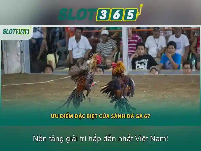 Slot365 - Trải nghiệm casino slot trực tuyến đáng tin cậy