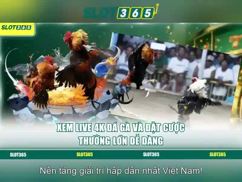 Trò chơi khe cắm đa dạng và hấp dẫn