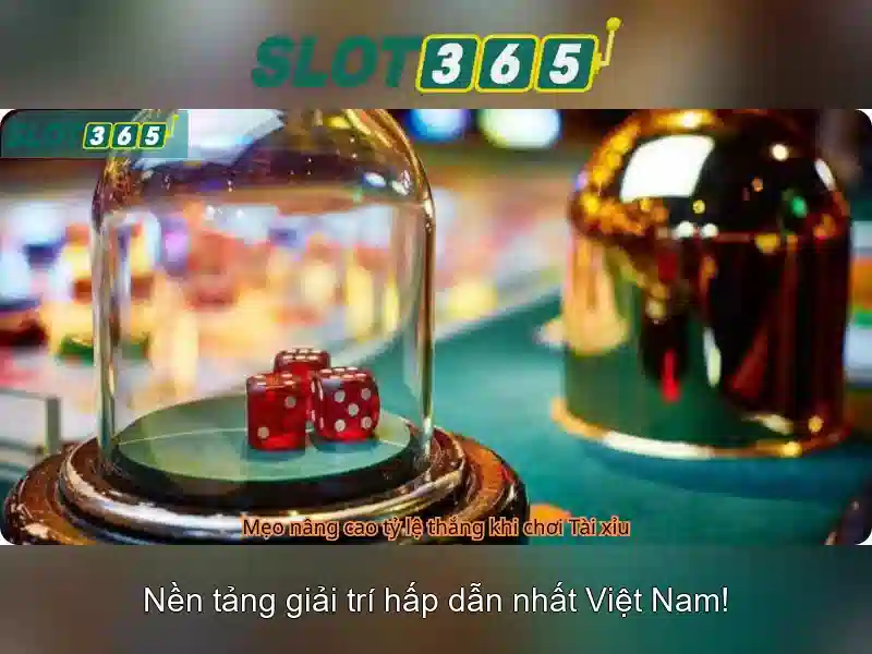 Thông tin cơ bản về Slot365