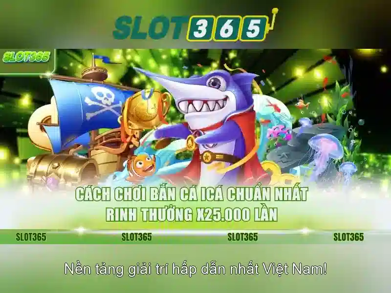 Giao diện người dùng và trải nghiệm di động
