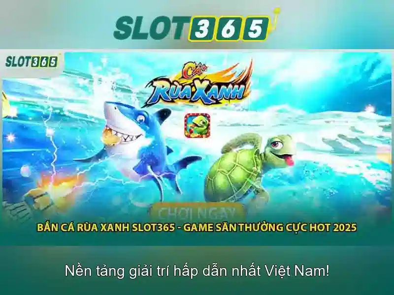 Giao diện người dùng và trải nghiệm