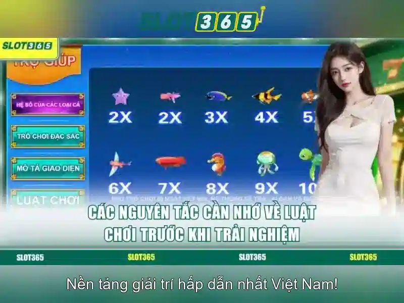 Các tính năng nổi bật Các tính năng nổi bật