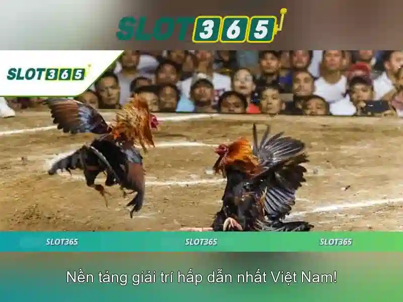 Slot365: Trải nghiệm trò chơi xèng trực tuyến tại Việt Nam 1 Đăng Nhập