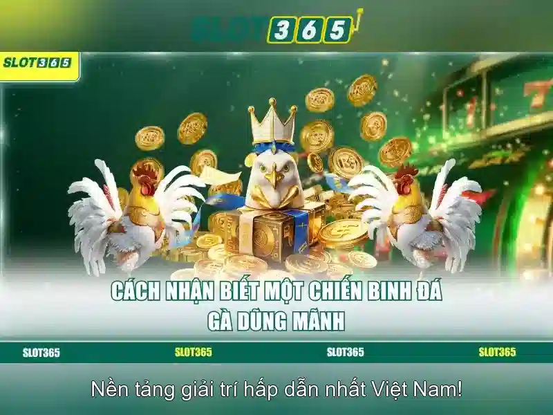 Cách nạp rút và bảo mật Cách nạp rút và bảo mật