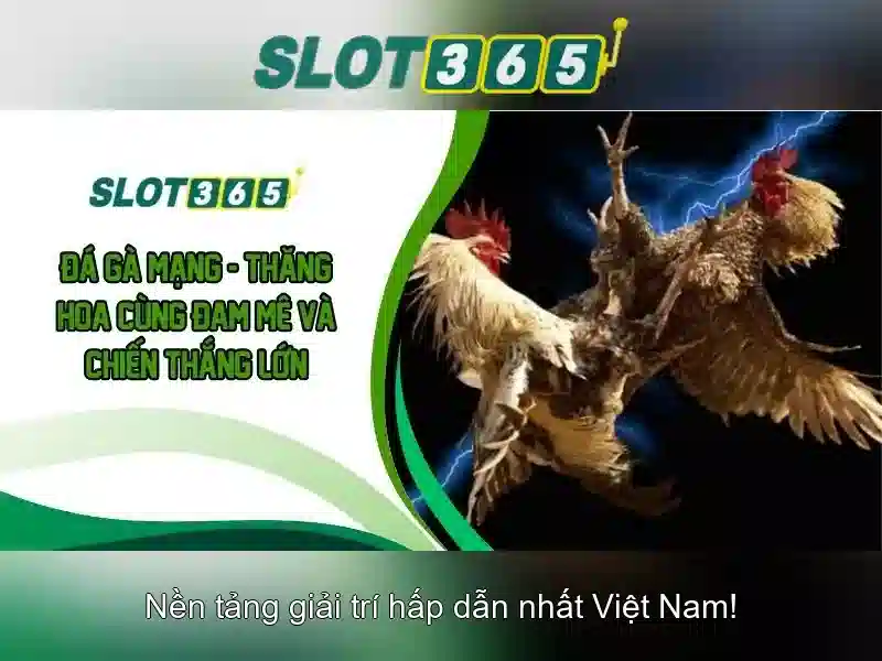 Trò chơi và nhà cung cấp Trò chơi và nhà cung cấp