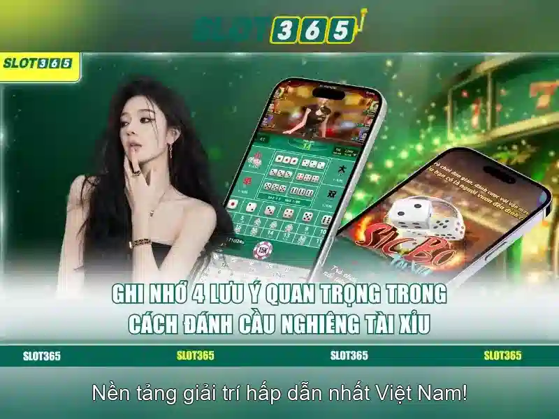 Hướng dẫn nhanh cho người mới Hướng dẫn nhanh cho người mới