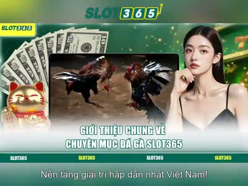 Khuyến mãi và cách tham gia Khuyến mãi và cách tham gia