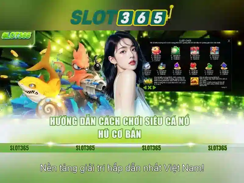 Slot365 là gì? Slot365 là gì?