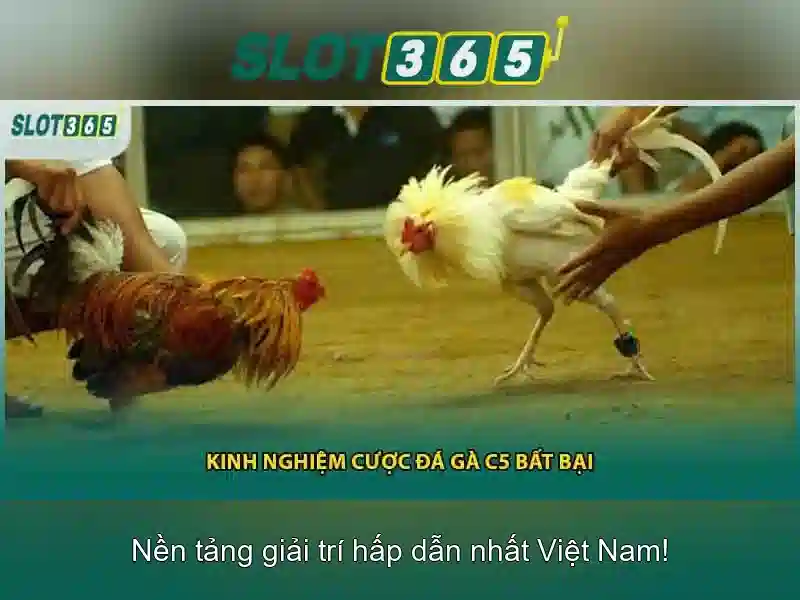 Danh sách trò chơi và nhà cung cấp