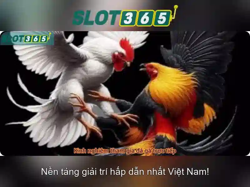 Slot365 và thế giới slot trực tuyến