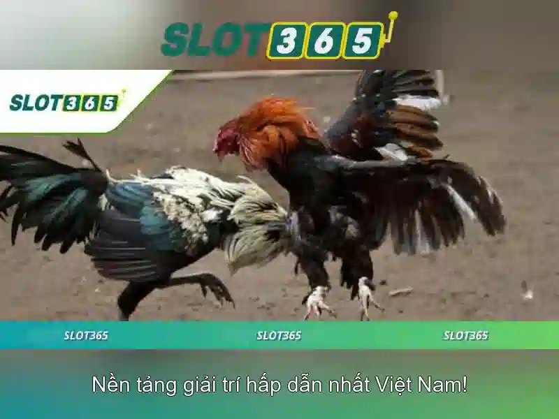 Giới thiệu Slot365 Giới thiệu Slot365