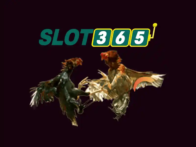 Sản phẩm và dịch vụ cốt lõi của Slot365 bị chặn