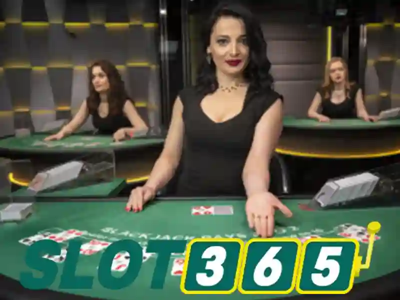 Tại sao người chơi chọn Slot365?