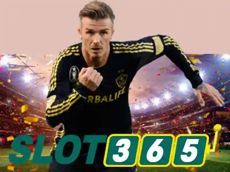 Slot365 là nền tảng giải trí quay số trực tuyến đáng tin cậy Slot365 là nền tảng giải trí quay số trực tuyến đáng tin cậy
